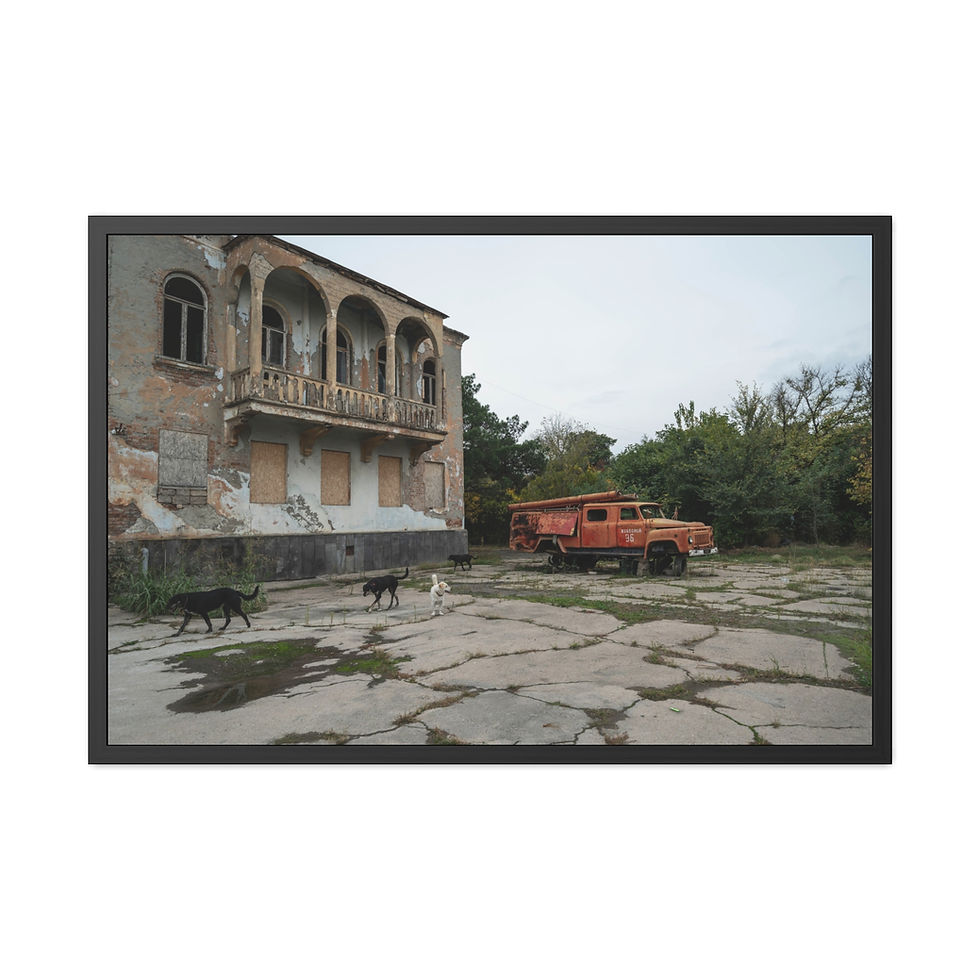 Thumbnail: Abandoned building, old orange truck, three dogs on cracked pavement.