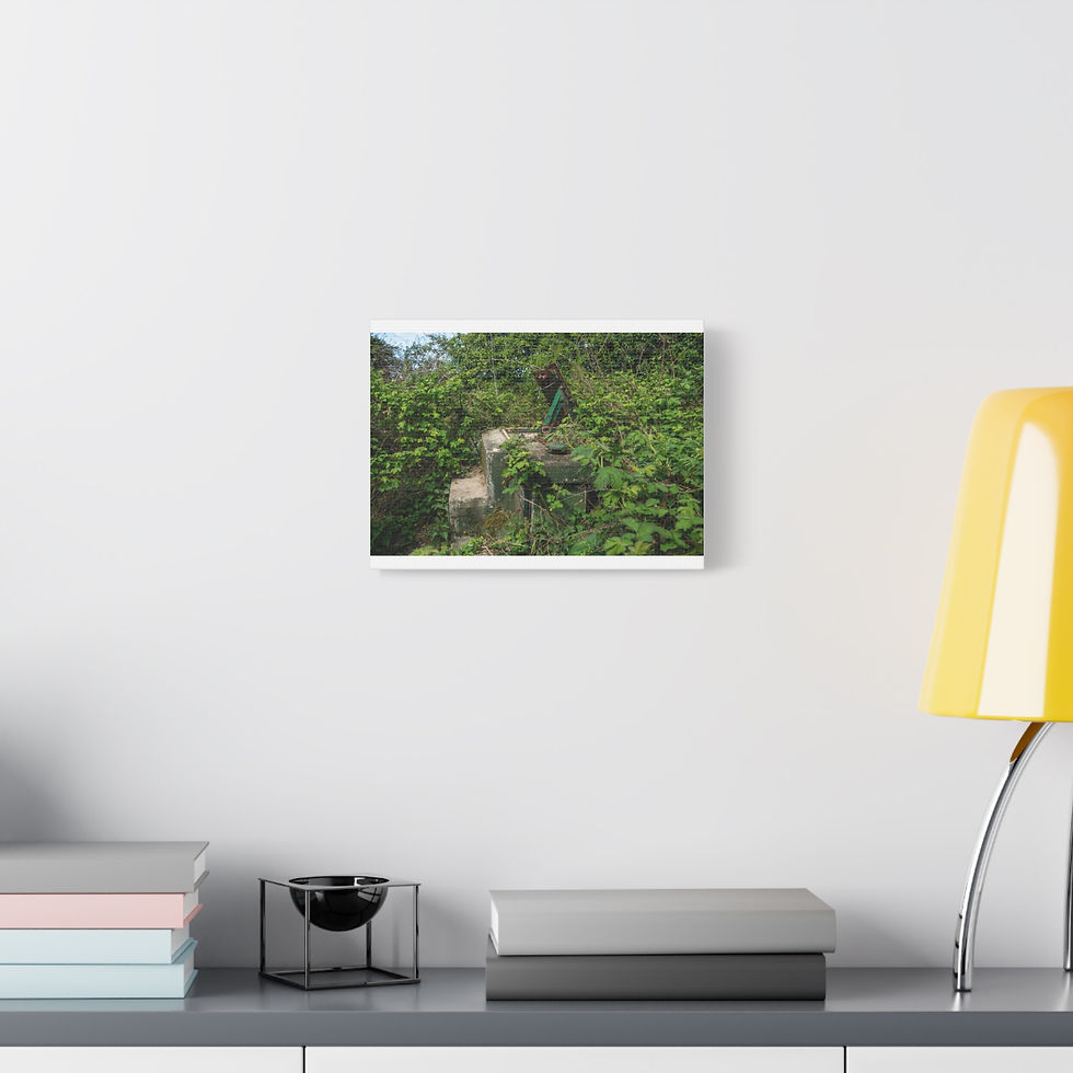 Thumbnail: Canvas Print | Horsham ROC Post - Abandoned Urbex Wall Art