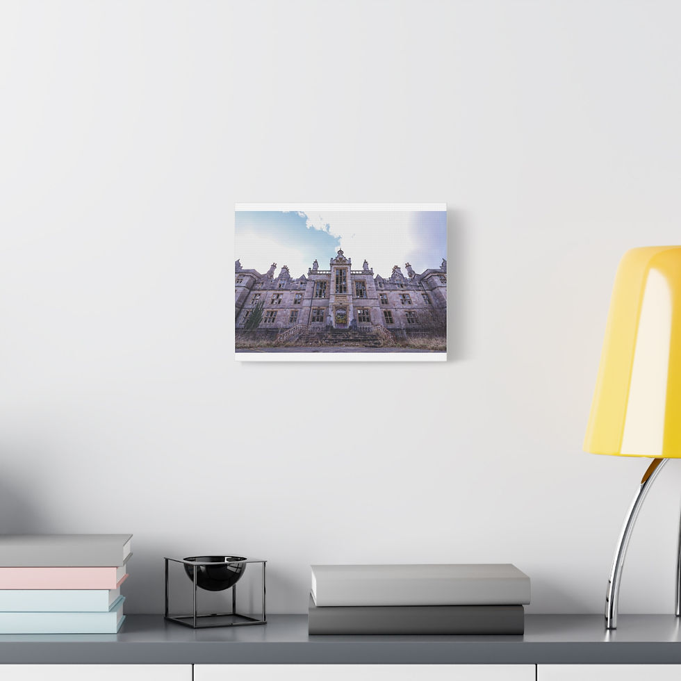 Thumbnail: Canvas print showing ornate historic building facade details.