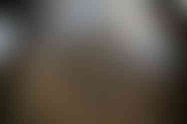 Abandoned Apollo Cinema in Tbilisi, Georgia. Ornate floor design with a central letter "A" surrounded by a decorative circular pattern. The aged surface creates a vintage, historic feel.