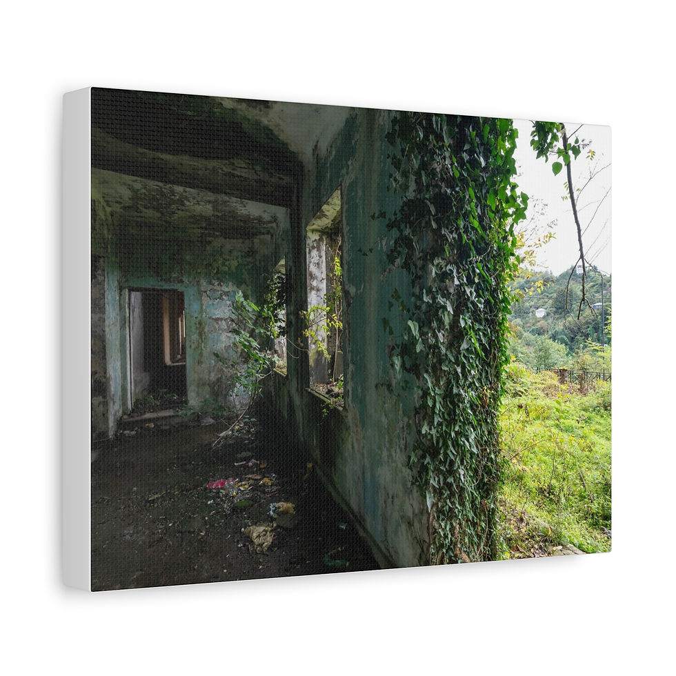Thumbnail: Abandoned building interior, ivy-covered walls, nature reclaiming through sunlit windows.