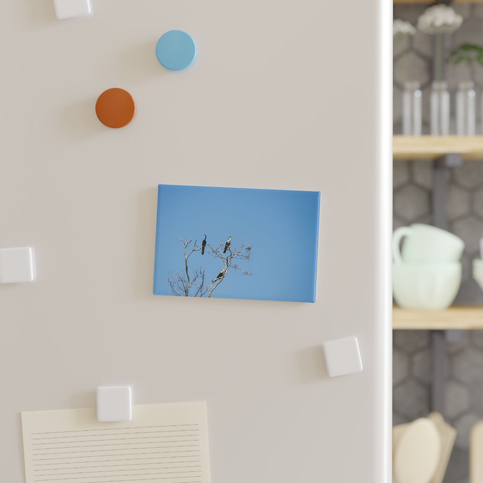 Thumbnail: Small birds perched on bare branches against a clear blue sky magnet.