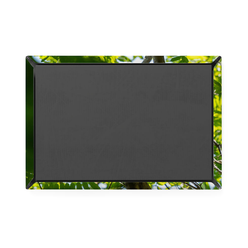 Thumbnail: Rectangular blank magnet reflecting vibrant green leaves around its dark surface.