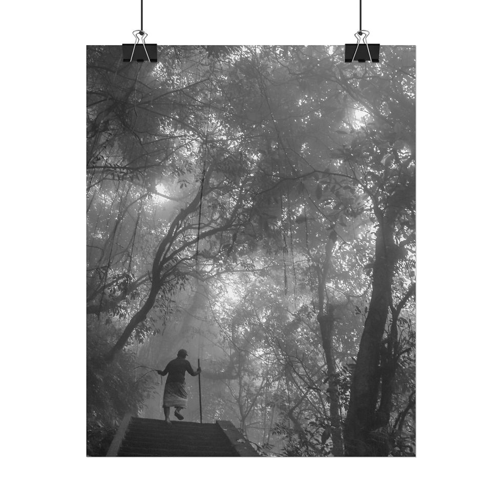 Thumbnail: Silhouette of person climbing misty stairs in a dense black-and-white forest.