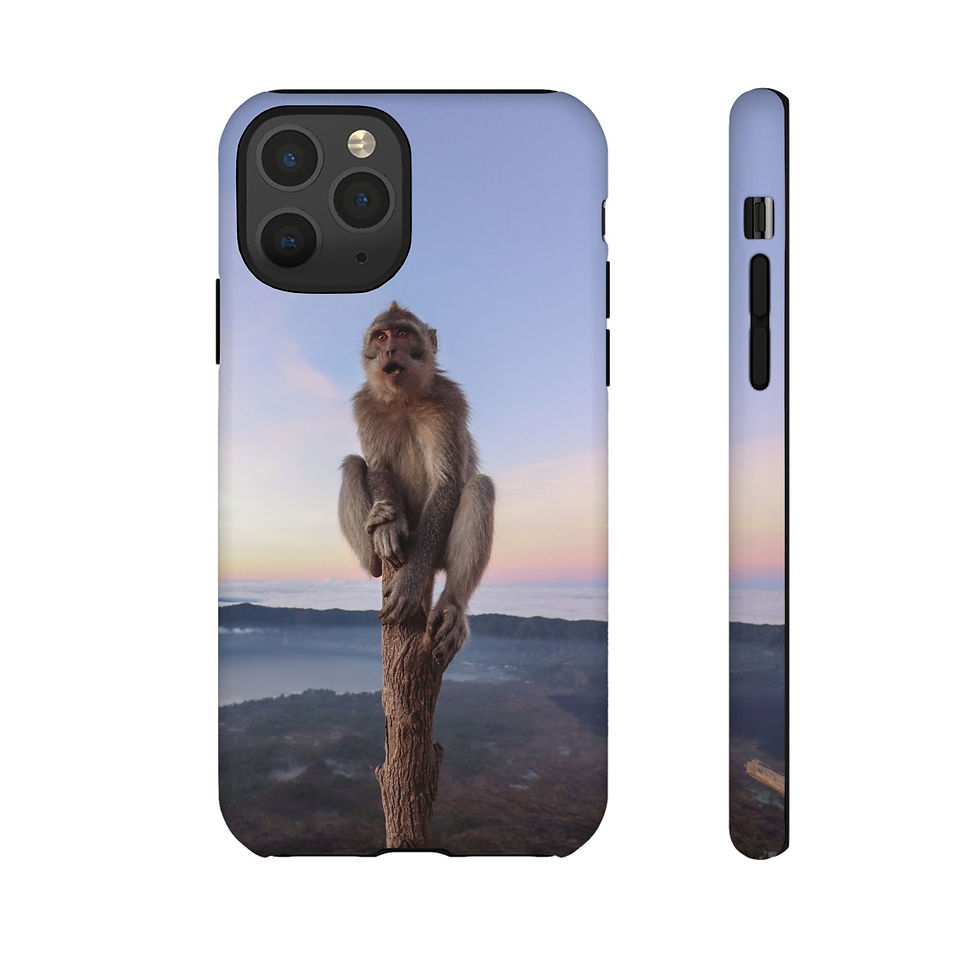 Thumbnail: Monkey perched on tree stump, overlooking misty mountains at sunrise.