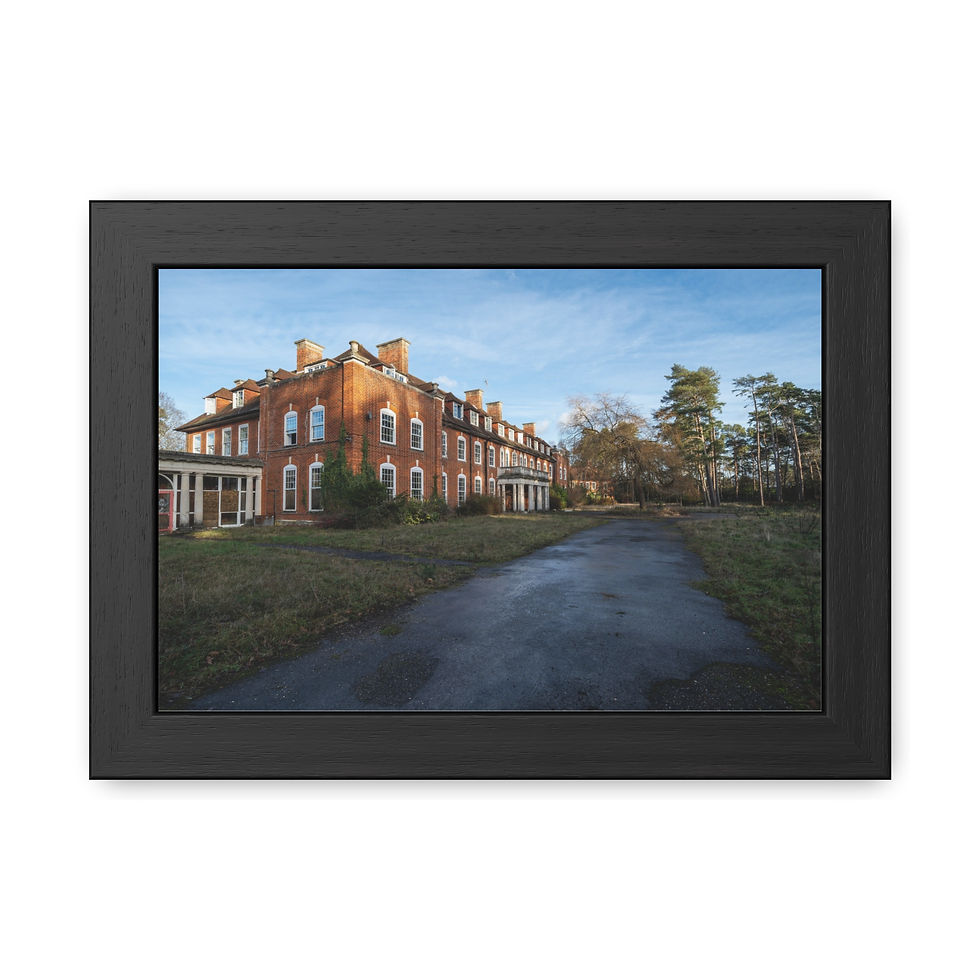 Thumbnail: Black framed print of abandoned brick building, overgrown driveway.