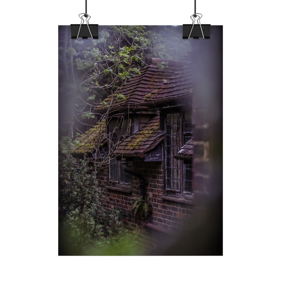 Thumbnail: Weathered brick house, mossy roof, hidden amongst dense, dark green foliage.