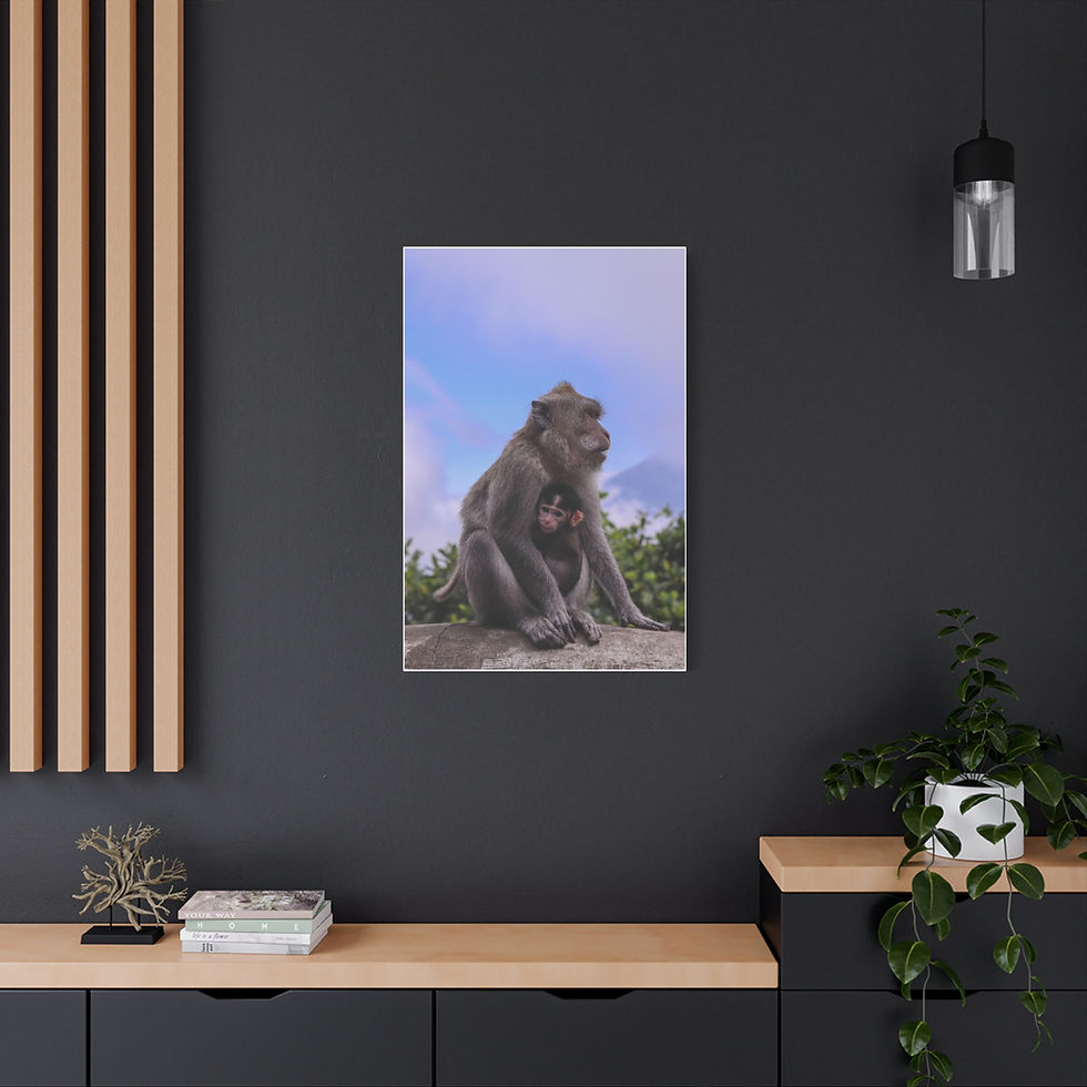 Thumbnail: Mother monkey cuddling baby monkey, Canvas Wall Art - Mother & Baby Monkey in Bali.