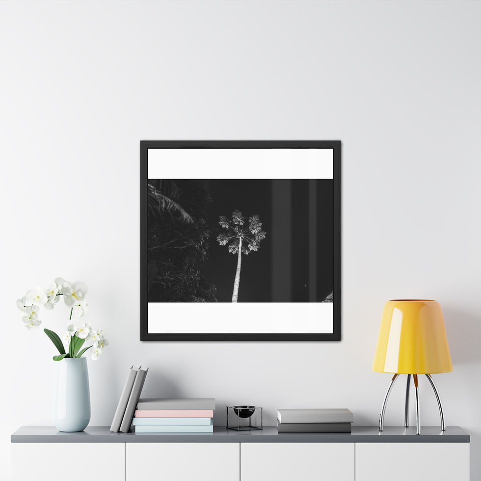 Thumbnail: Framed black and white botanical art hangs above a modern console table.