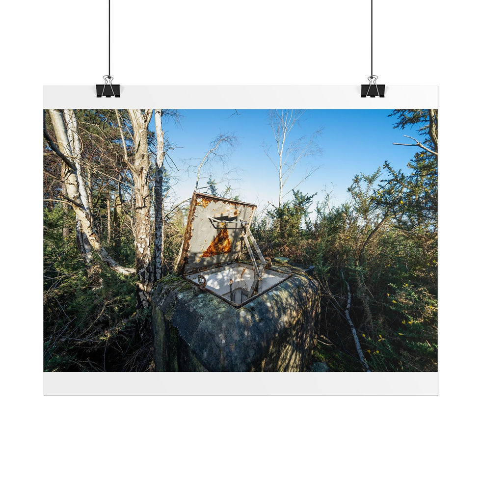 Thumbnail: Old, rusted basketball hoop in an overgrown forest with blue sky.