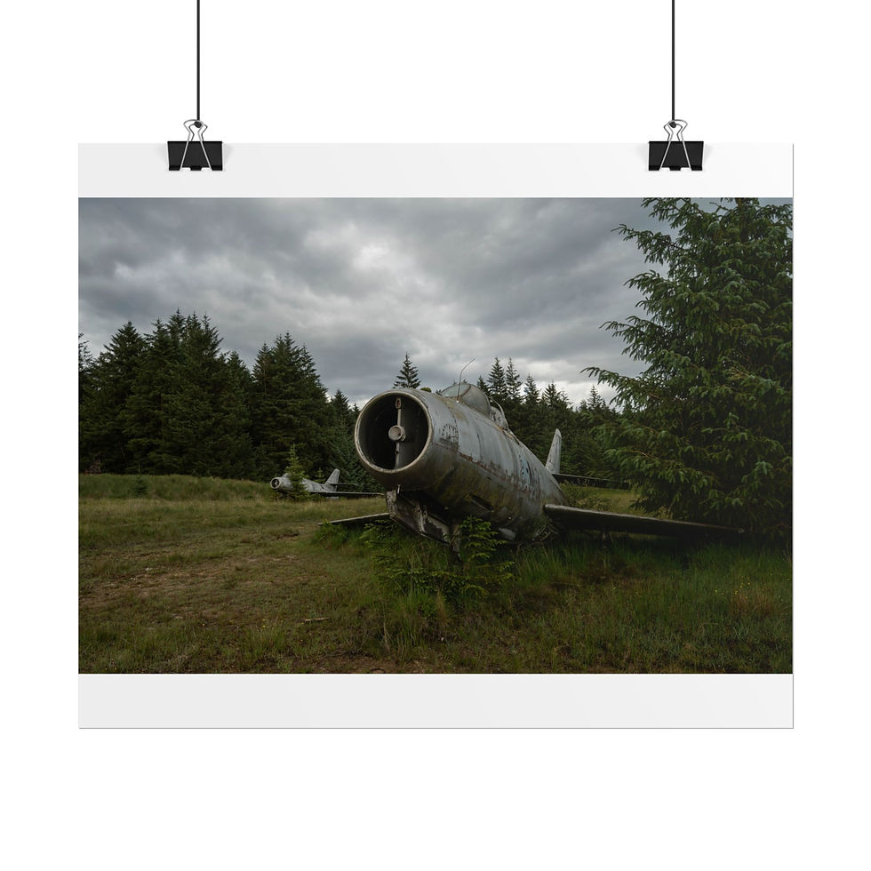 Thumbnail: Abandoned jet plane wreck in overgrown field under cloudy sky.