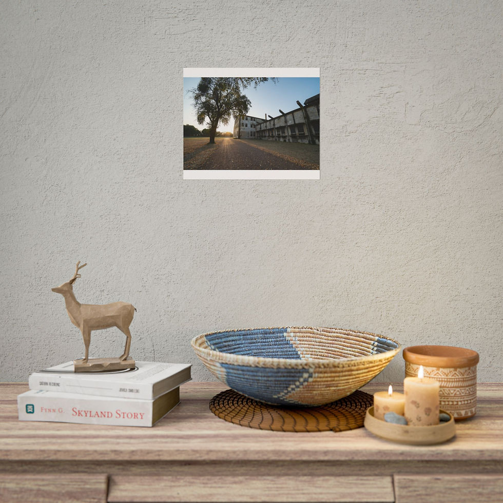 Thumbnail: Framed picture of sunset behind tree and buildings, with room decor.