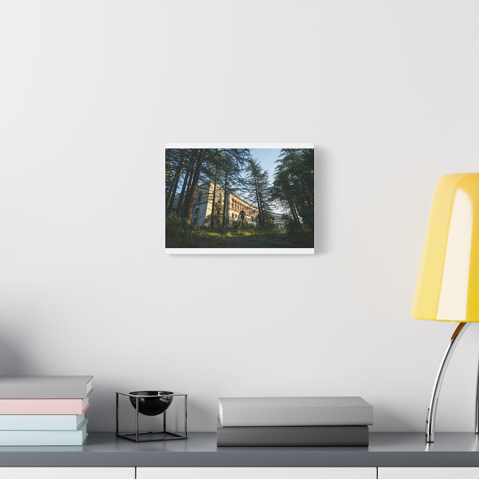 Thumbnail: Ornate abandoned building viewed through tall trees on canvas print.