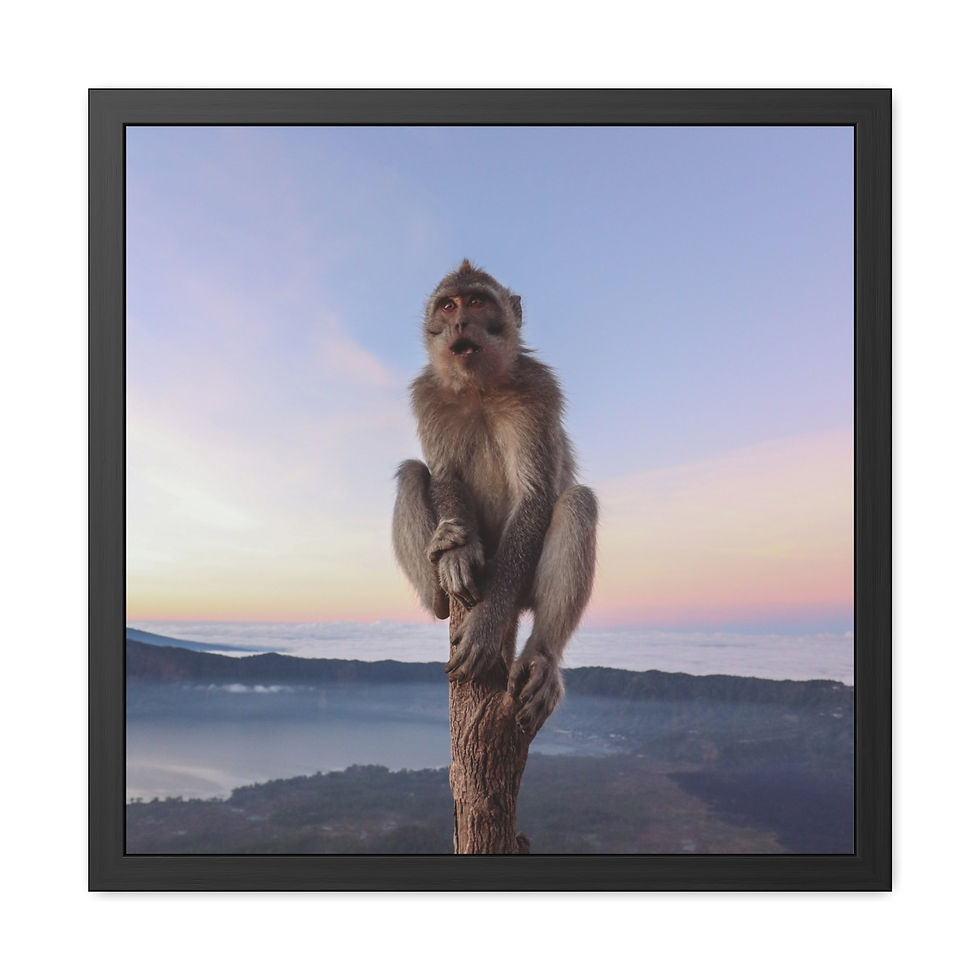 Thumbnail: Macaque monkey perched on tree stump with vibrant sunrise and misty landscape.