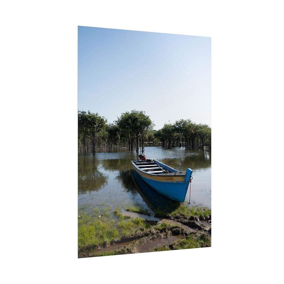 Thumbnail: Blue wooden boat in calm swamp water with trees under clear sky.