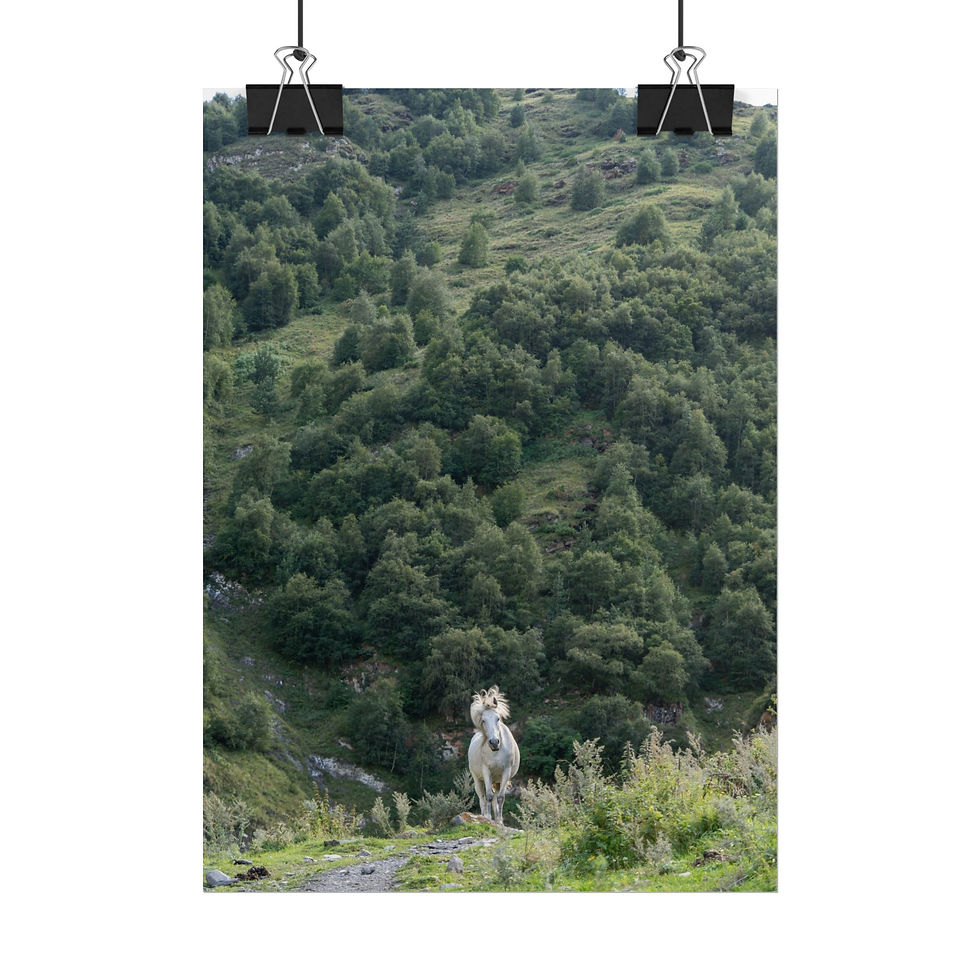 Thumbnail: Rolled Poster Print | Grey Horse in the Mountains of Kazbegi, Georgia Wall Art