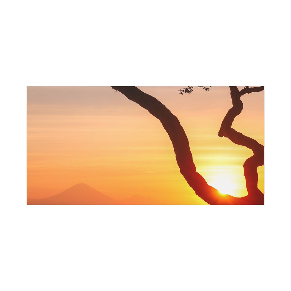 Thumbnail: Silhouette of tree branch against vibrant sunset and distant mountain peak.