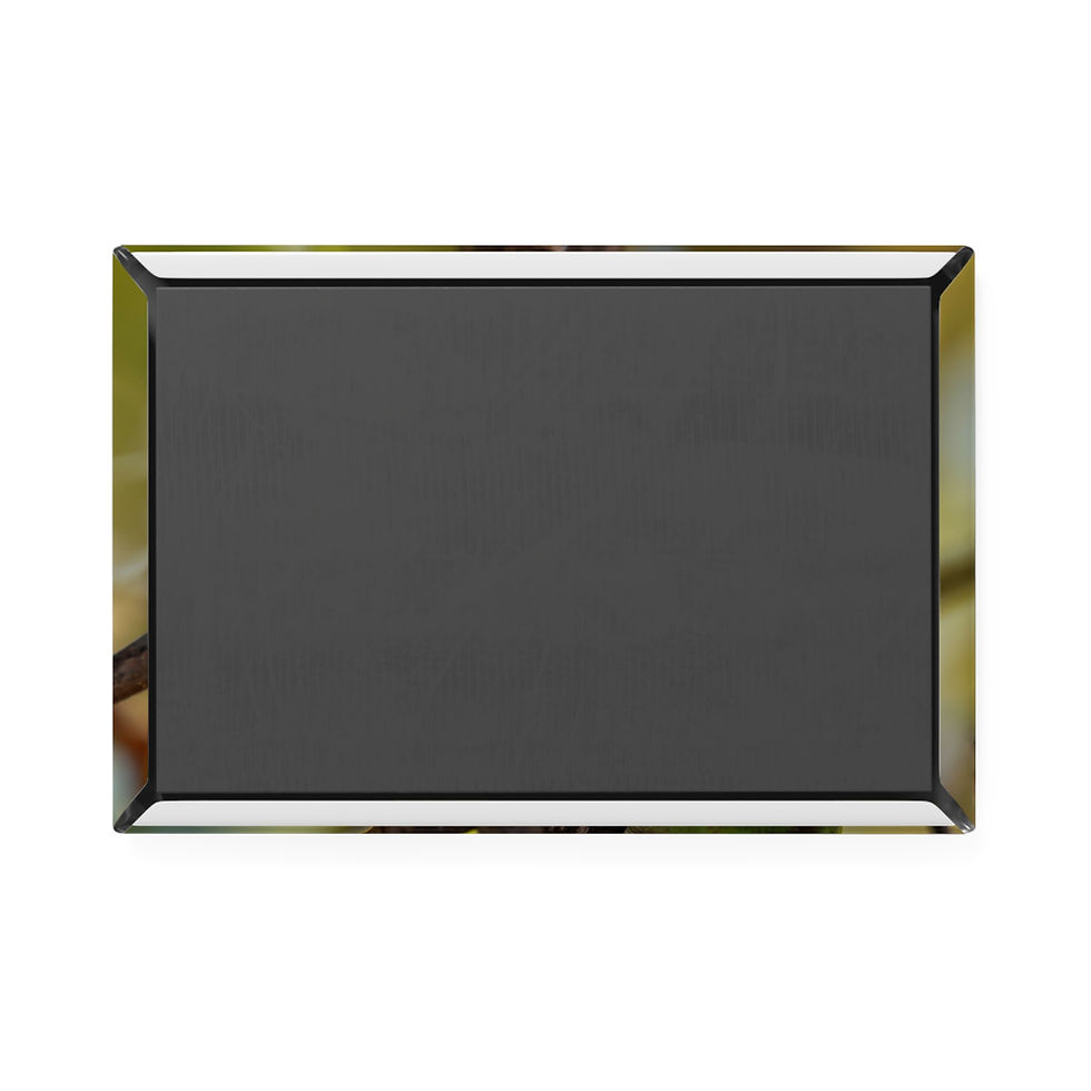 Thumbnail: Rectangular mirror with beveled edges, dark reflective surface on white background.