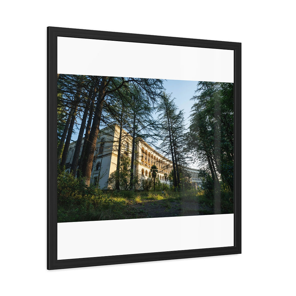 Thumbnail: Framed print of a grand old building through tall forest trees.