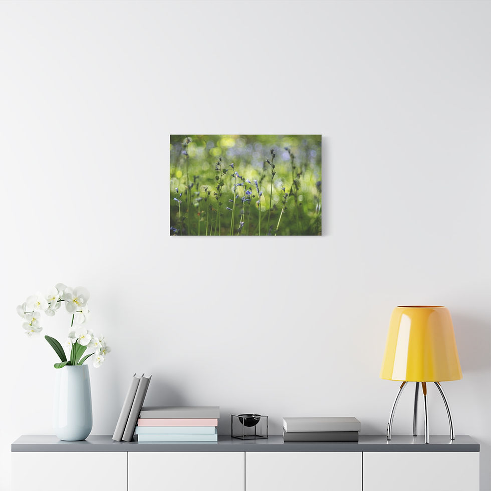 Thumbnail: Bluebells Canvas Print | Laughton Woods Spring Flowers | Calming Sussex Wall Art