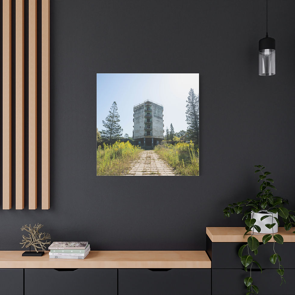 Thumbnail: Framed print: abandoned Dagva House of Culture building in overgrown field.