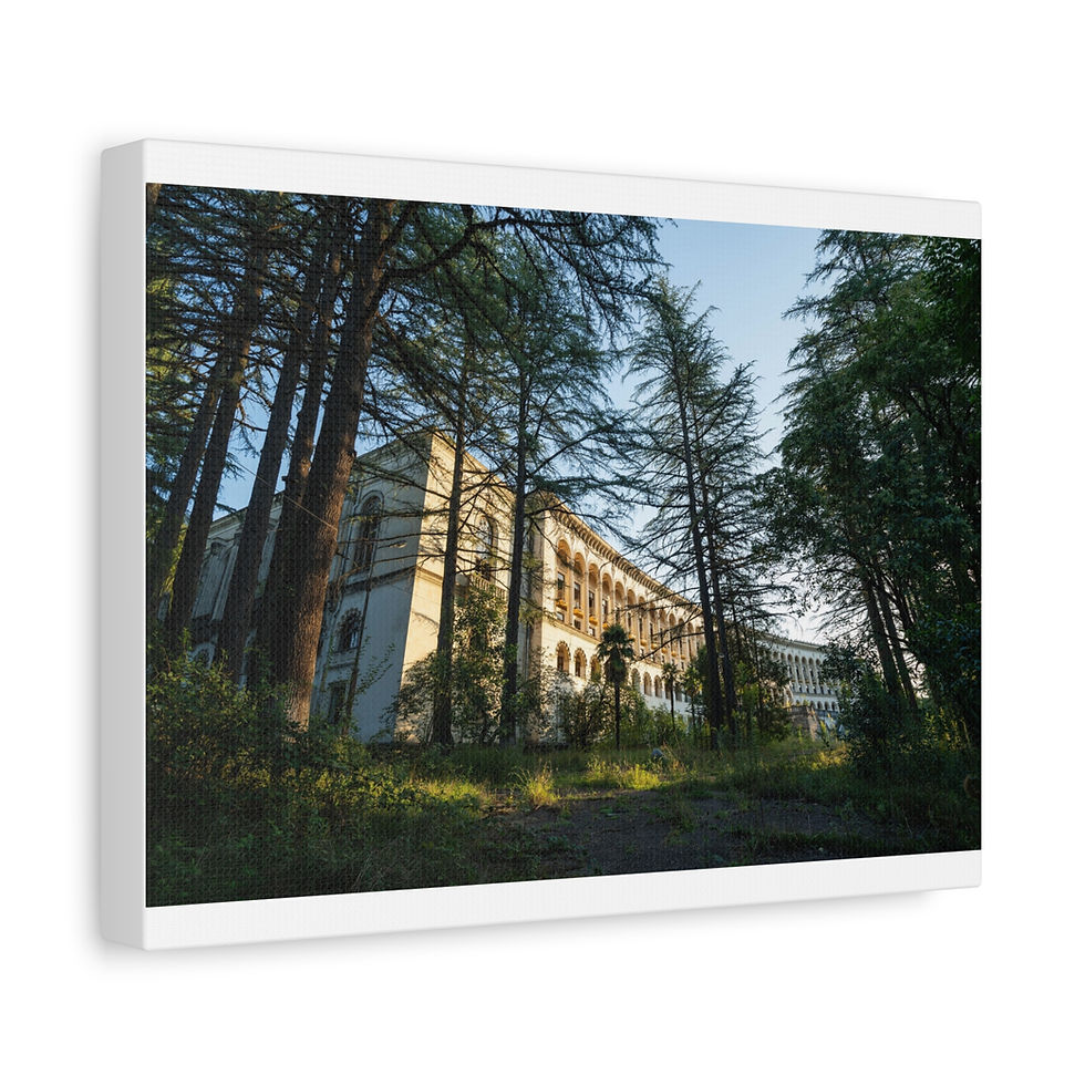 Thumbnail: Ornate abandoned building seen through tall trees from low angle.