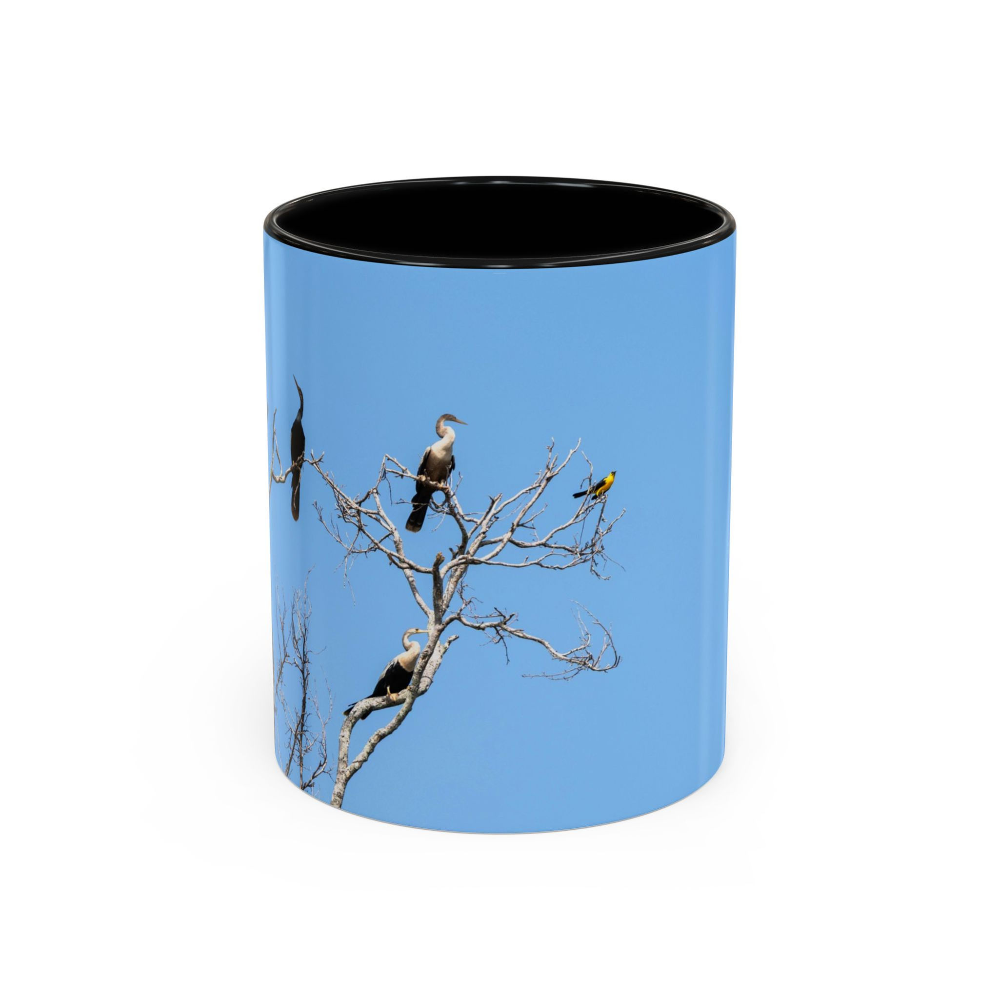 Coffee Mug - Anhingas and Oriole Blackbird in Bare Tree | Amazon Wildlife Mug