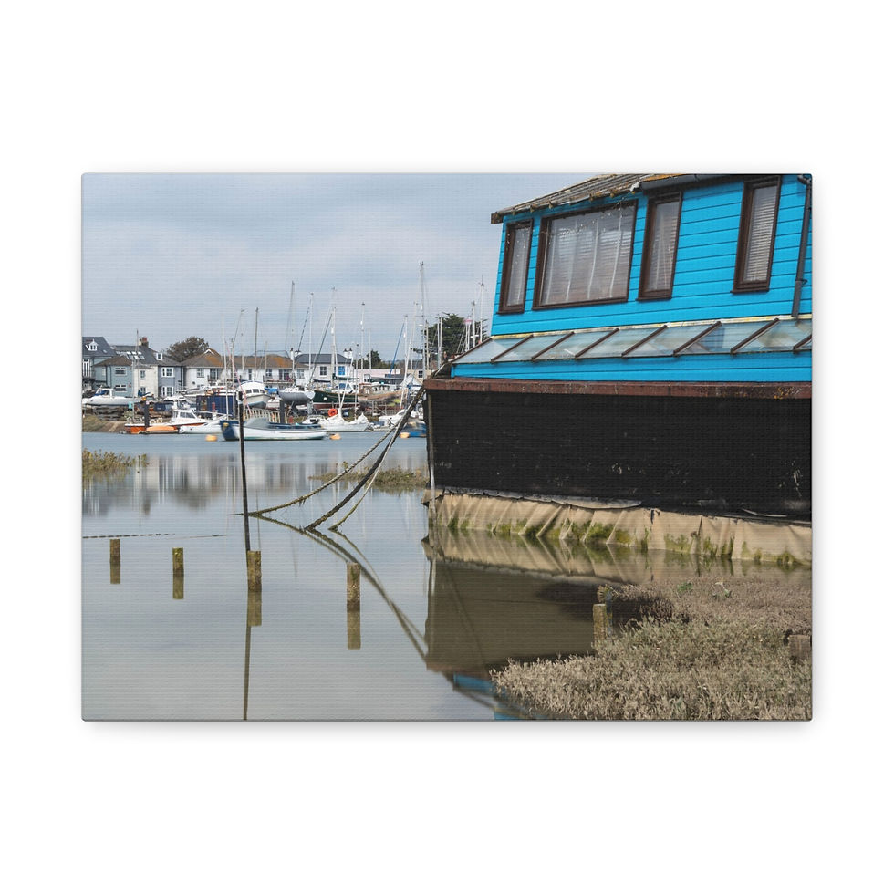 Thumbnail: Vivid blue houseboat anchored on muddy riverside, boats and town beyond.