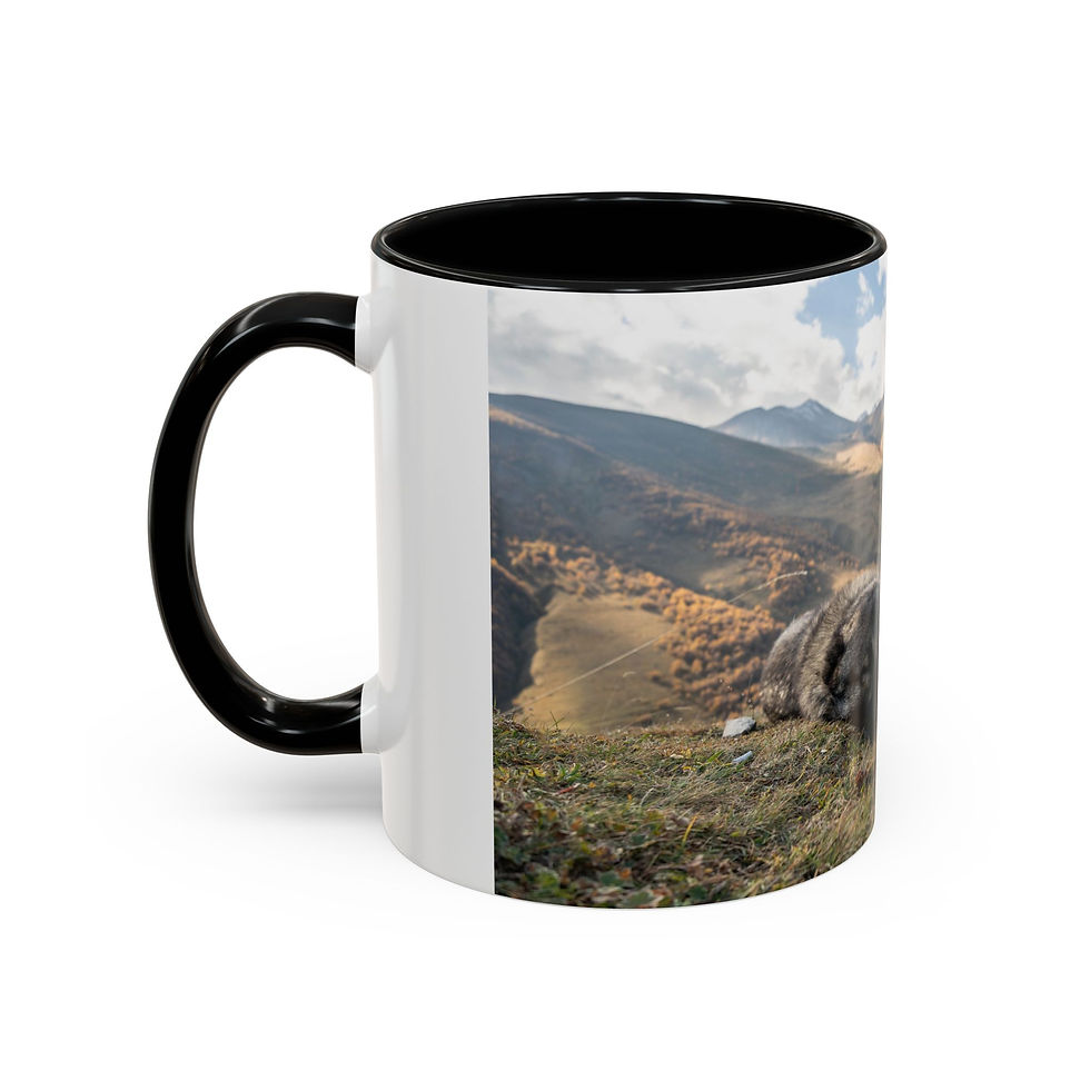 Thumbnail: Coffee Mug - A Dogs Mountain Dream | Dog Sleeping in Caucasus Mountains Georgia