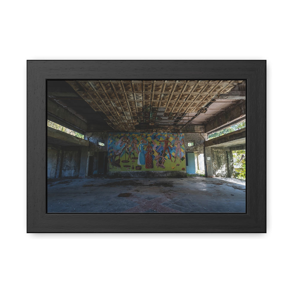 Thumbnail: Framed art print depicts an abandoned, derelict room with graffiti and damaged ceiling.