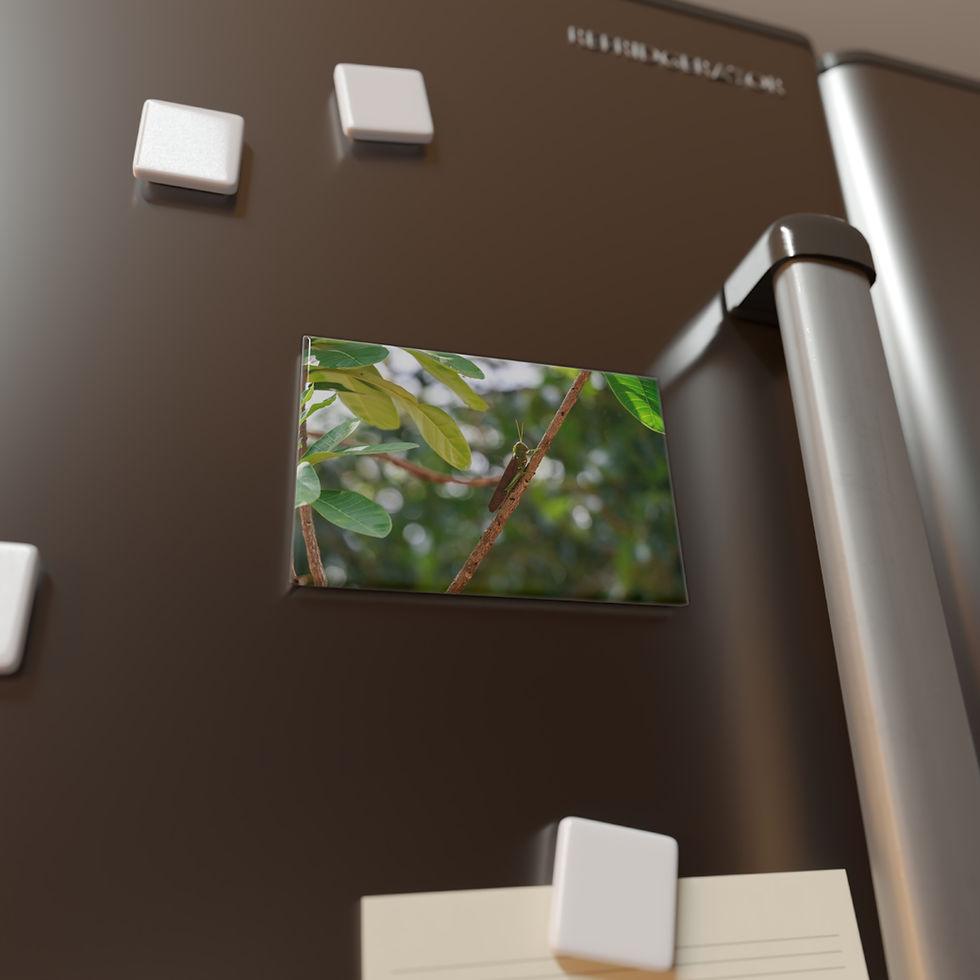 Thumbnail: Refrigerator magnet showing green leaves and branches on a dark fridge.