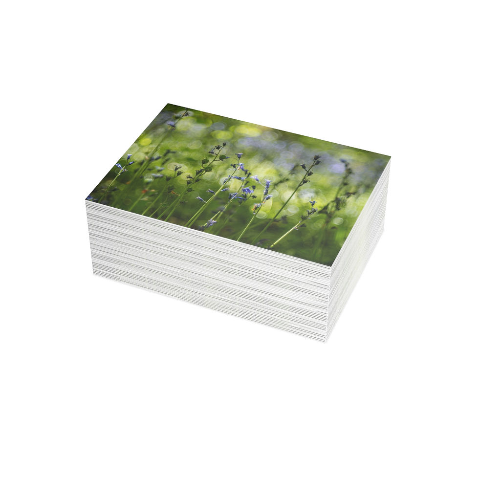 Thumbnail: Bluebells in Sussex | Spring Nature Design | Greeting Card Pack of 1, 10, 30, 50