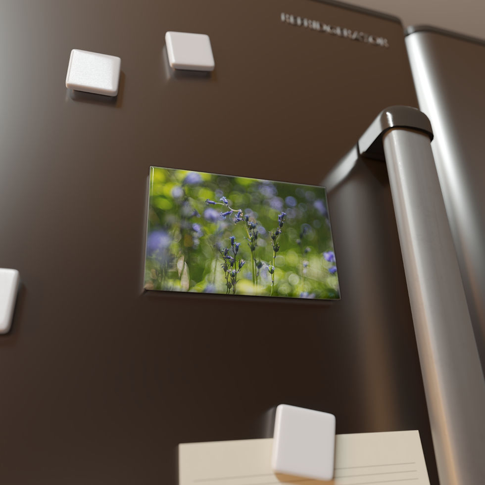 Thumbnail: Bluebells Magnet | Laughton Woods East Sussex | Floral Nature Photo Decor