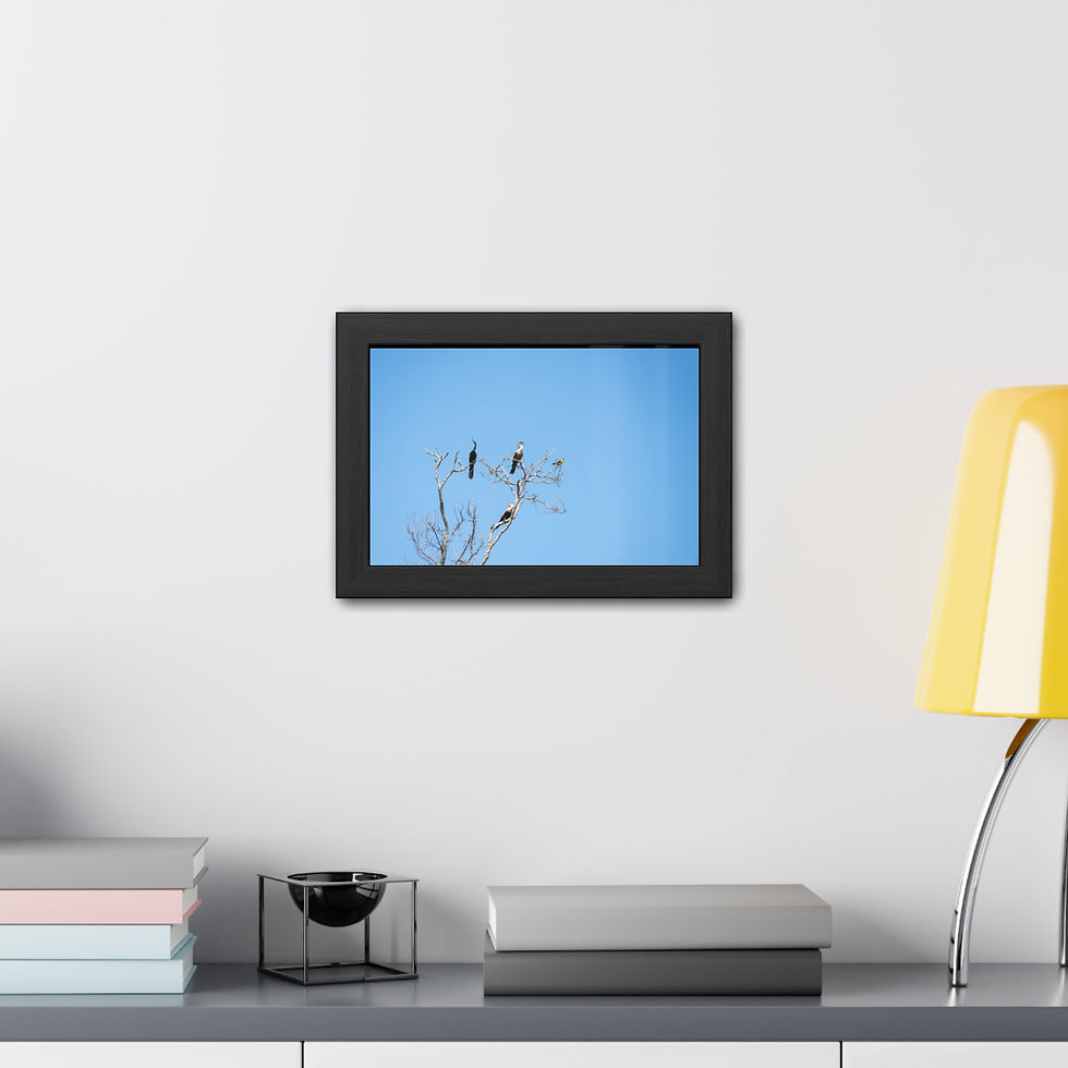 Thumbnail: Framed canvas of delicate white plant against light blue background on a wall.