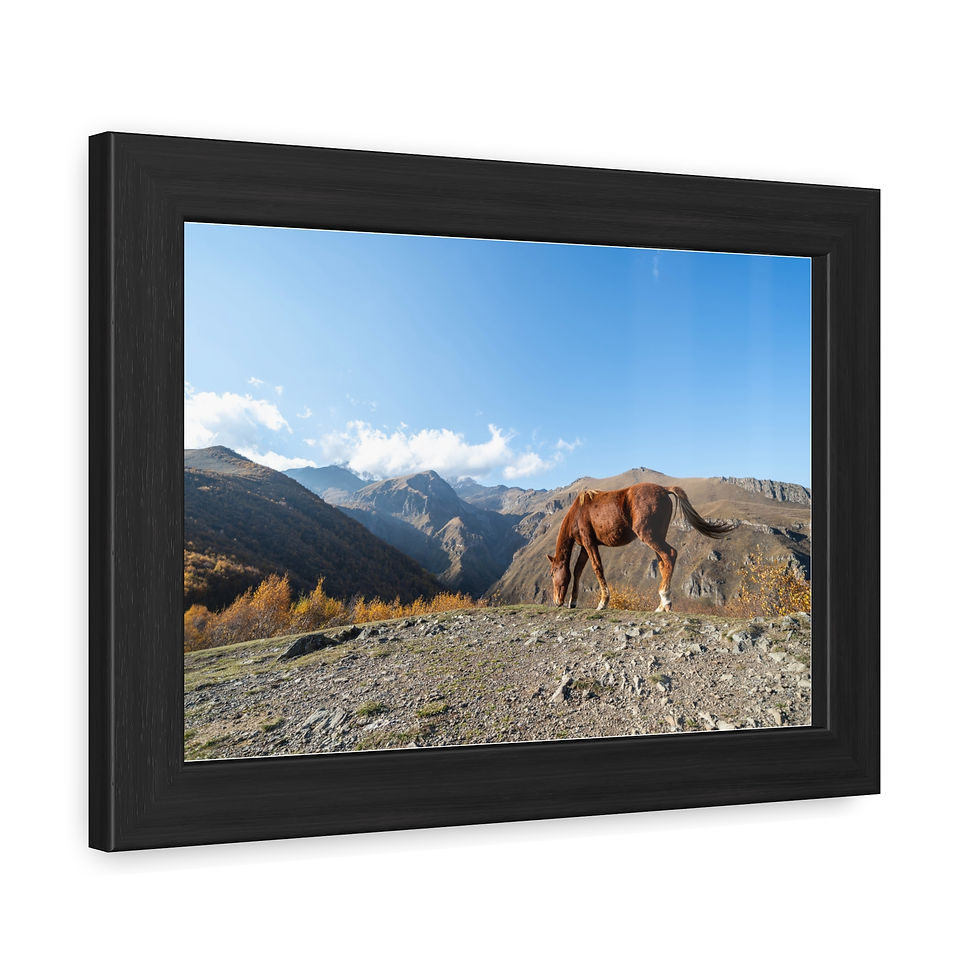Thumbnail: Brown horse grazing on a rocky mountain slope with blue sky.