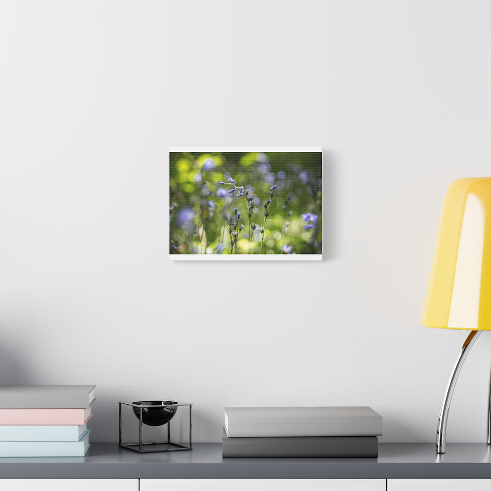 Thumbnail: Bluebells Canvas Print | Laughton Woods Spring Flowers | Calming Sussex Wall Art