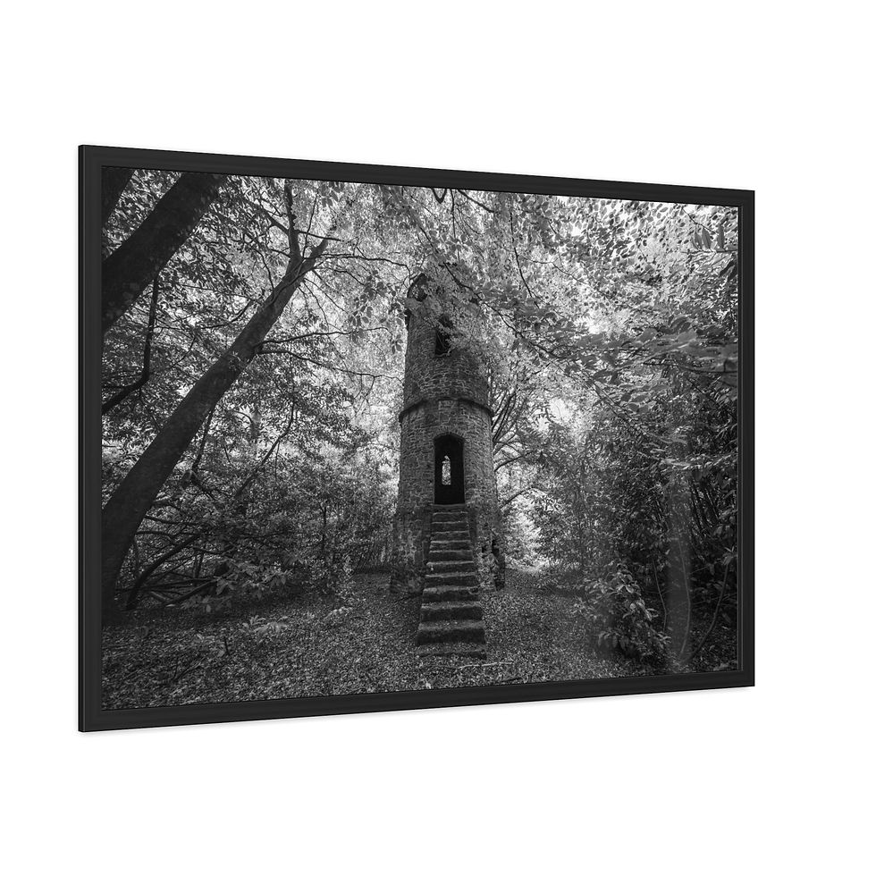 Thumbnail: Black and white framed print showing an enchanting tower ruin in a forest.