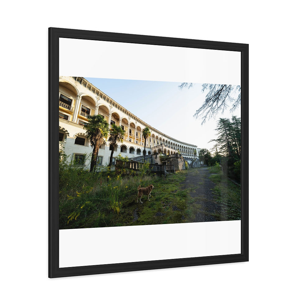 Thumbnail: Framed print: abandoned white arched building, overgrown foliage, and dirt path.