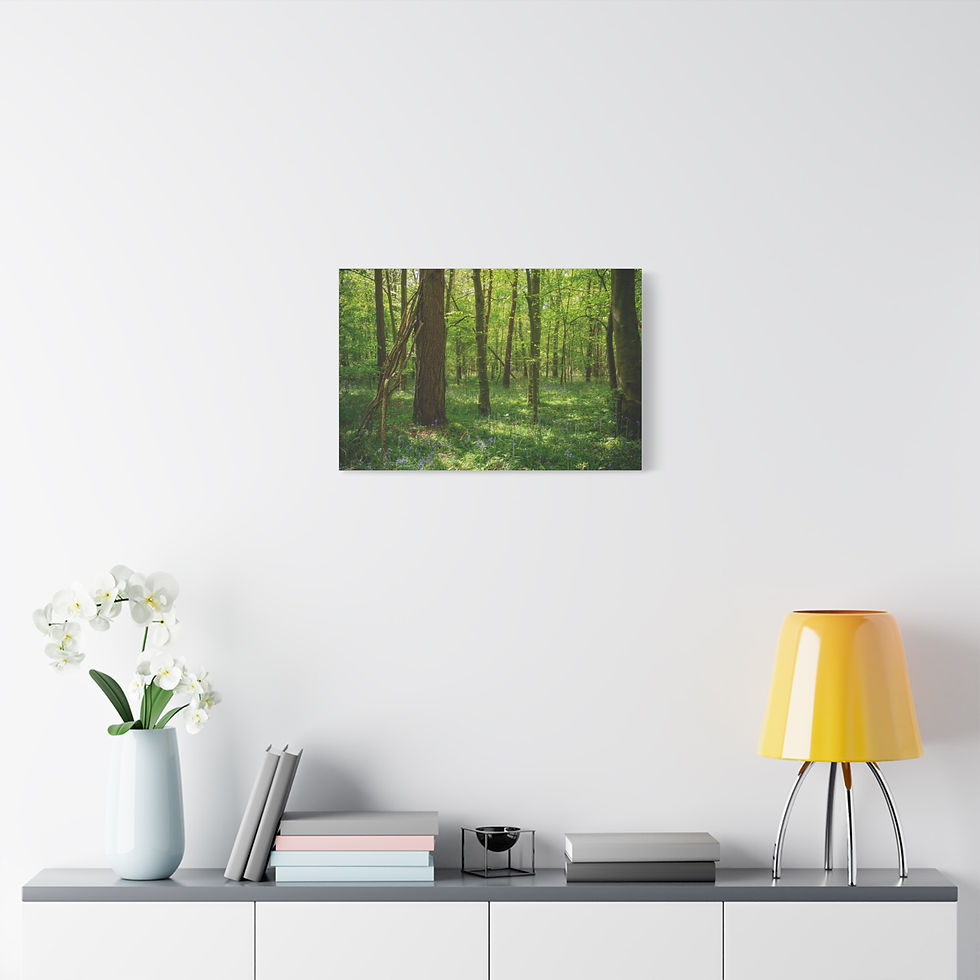 Thumbnail: Sunlit Woodland Canvas | Bluebells in Laughton Woods | Calming Nature Wall Art