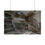 Thumbnail: Poster Print - Eerie Abandoned Staircase