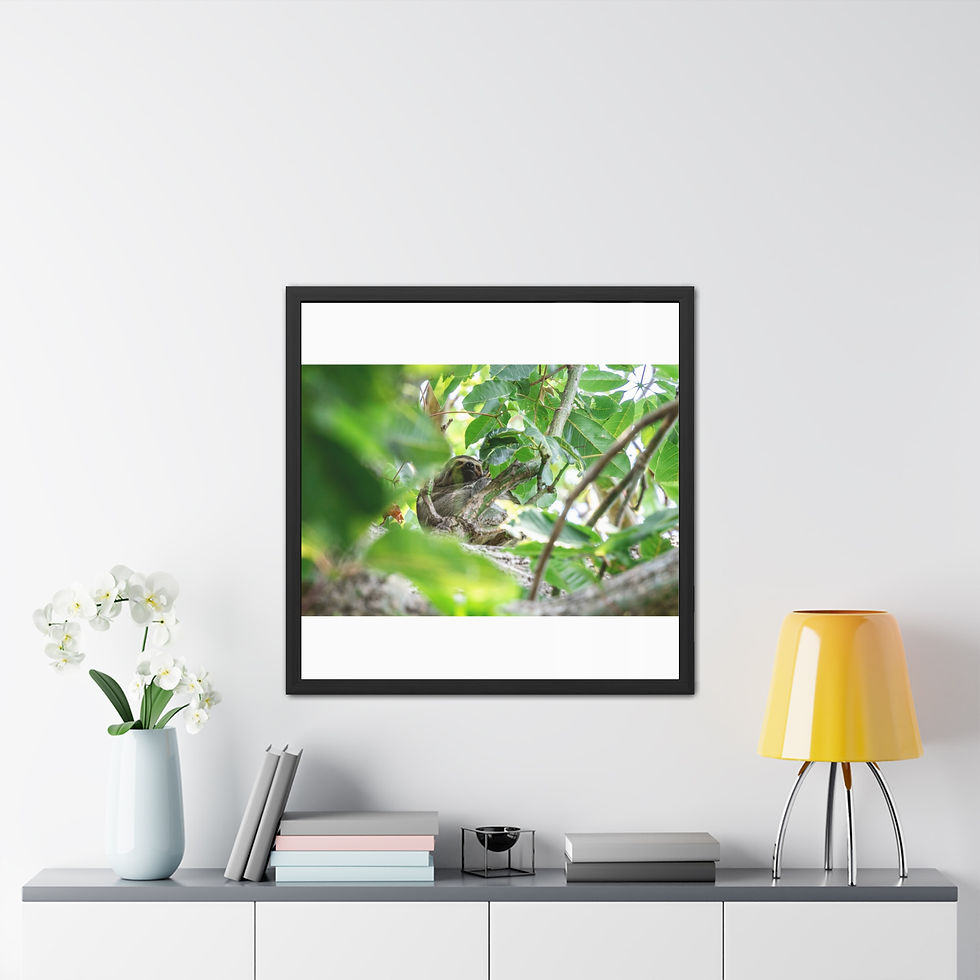 Thumbnail: Black framed print displaying a sloth in a lush green tree.