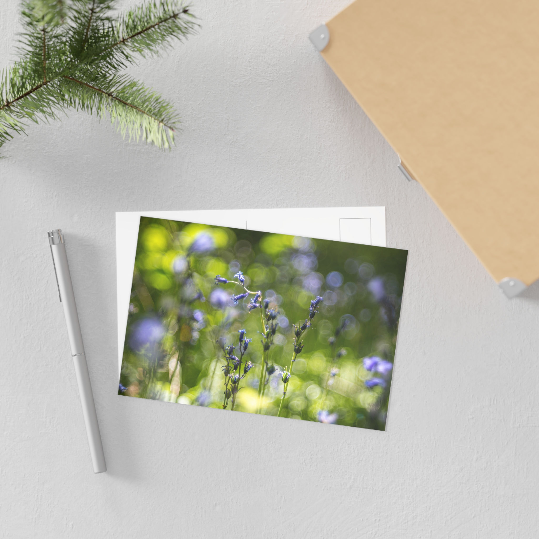 Bluebells Fine Art Postcard | Laughton Woodland Scene | East Sussex Nature Photo