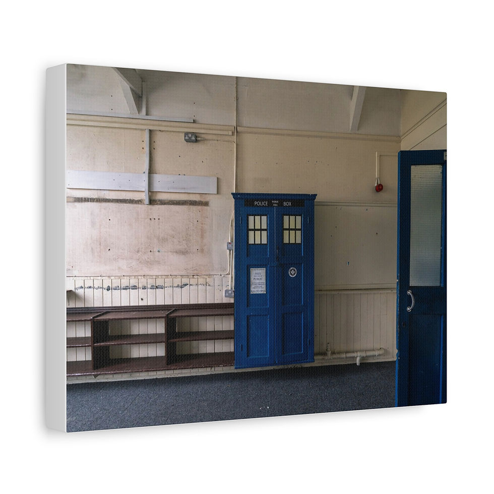 Thumbnail: Canvas Print | TARDIS Style Cupboard | Abandoned Classroom | Unique Wall Art