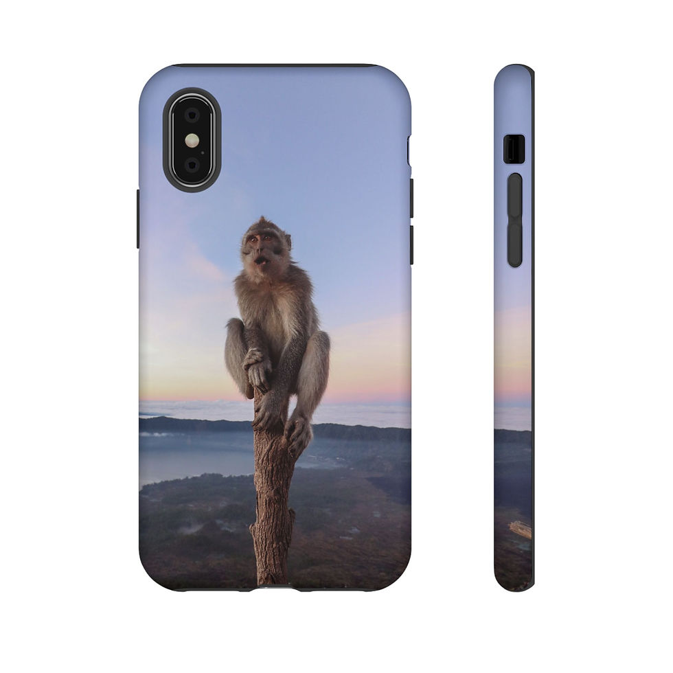 Thumbnail: Monkey sitting on a tree stump, misty mountain landscape at dawn.