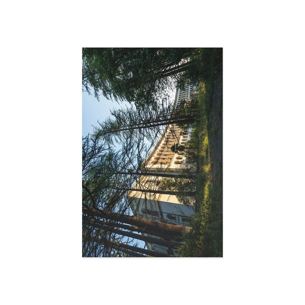 Thumbnail: Fine Art Postcards | Sanatorium Shakhtar of Tskaltubo