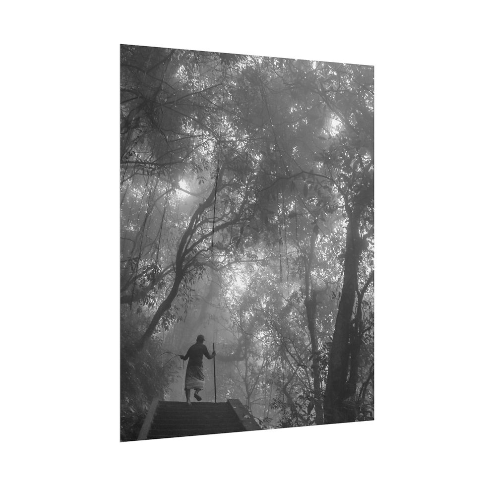 Thumbnail: Lone person with staff on platform in misty black and white forest.