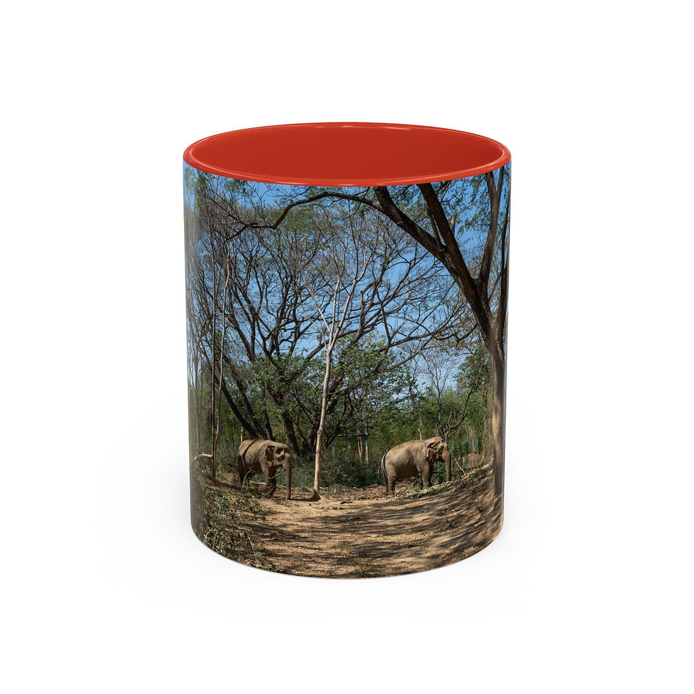 Thumbnail: Wildlife Photography Accent Coffee Mug - Nature Scene with Elephants