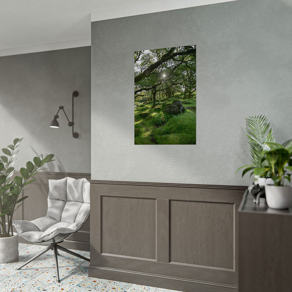 Thumbnail: Modern living room with a framed print of a dark mossy forest.
