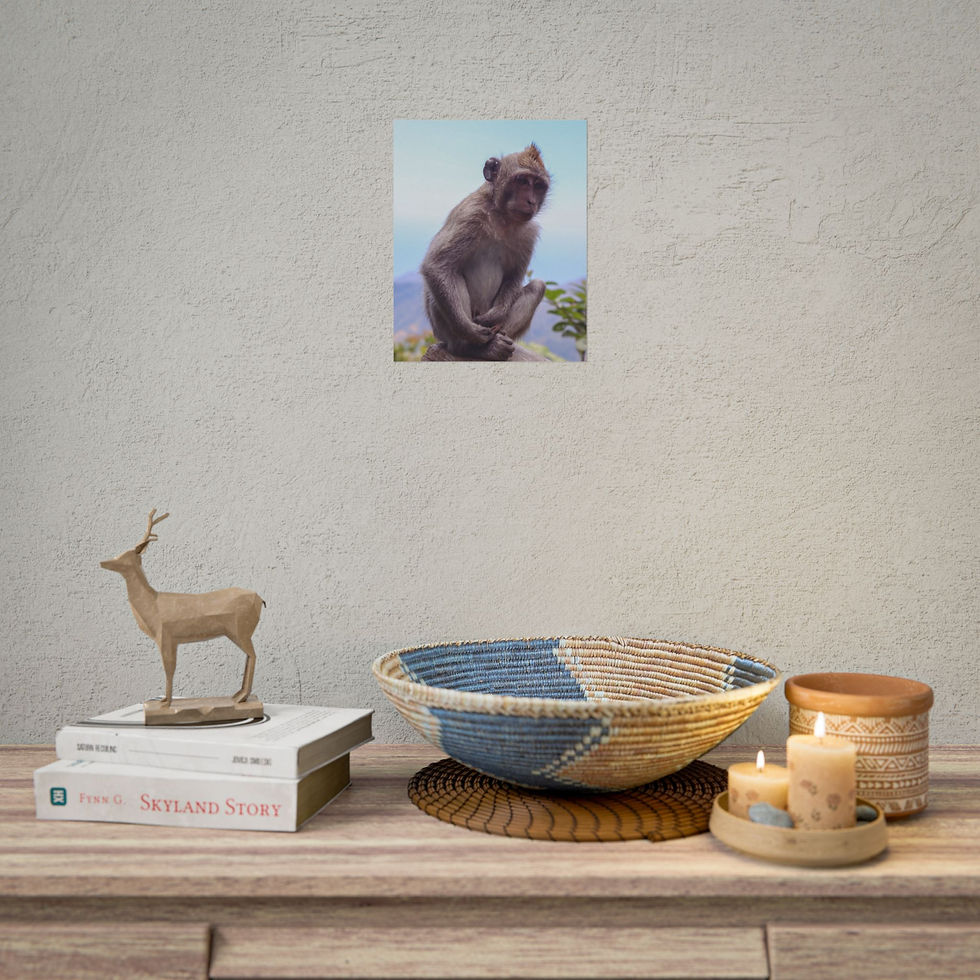Thumbnail: Brown monkey sitting on a rock with blue sky and water background.