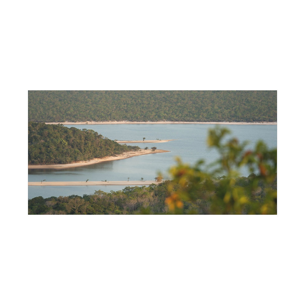 Thumbnail: Winding river with sandy banks surrounded by dense green forest and foliage.